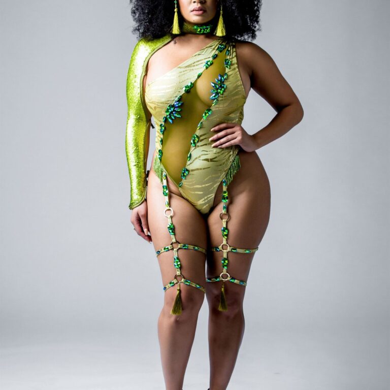 Aja Mesh Jeweled Bodysuit w/Jeweled Garter